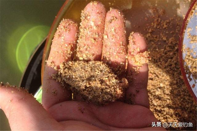 春季怎么钓鲫鱼，初春怎样钓鲫鱼（不同阶段用不同钓法）