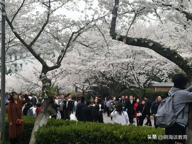 所有的985大学排名，文宣做的最好的985高校排名出炉