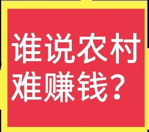 养生馆名字高端大气招财，好听招财的养生馆店名（这五个农村实体店项目就很赚钱）