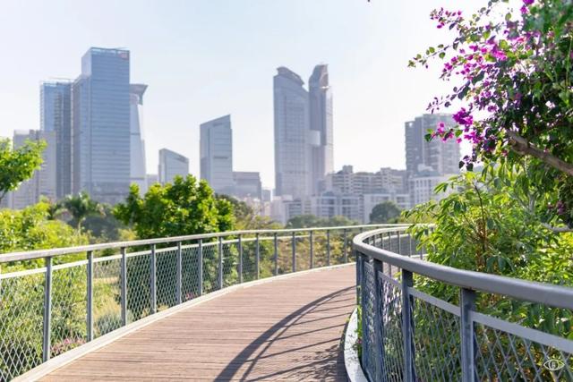 深圳好玩的免费景点，深圳哪里好玩的景点（来深圳这10个地方免费玩）