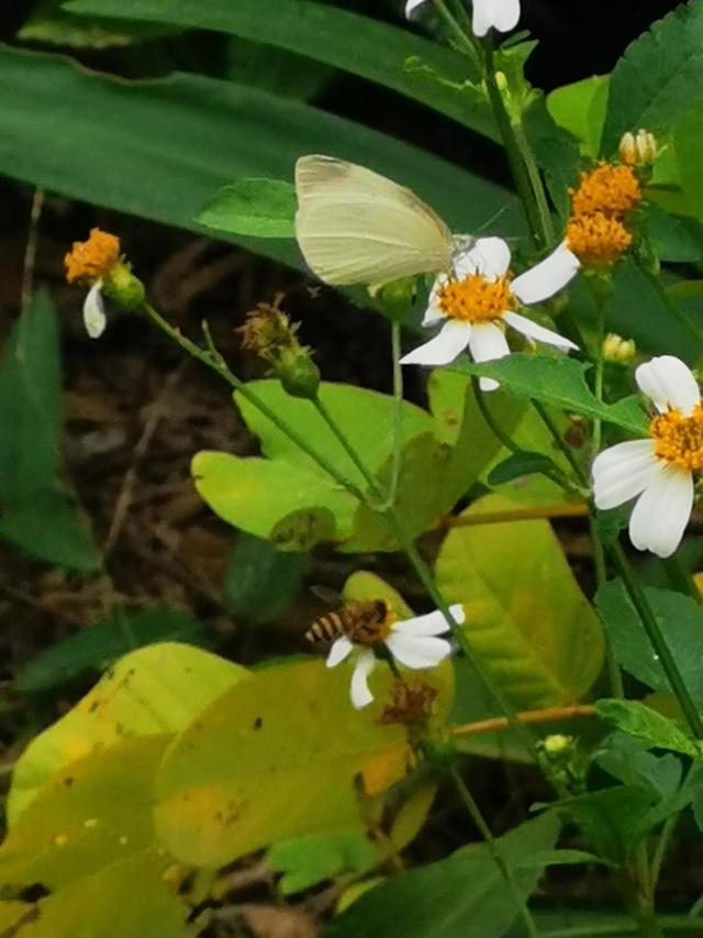 灵魂相似的人一旦相逢，灵魂相似的人一旦相逢是知心朋友（总有一天会在路上相逢）