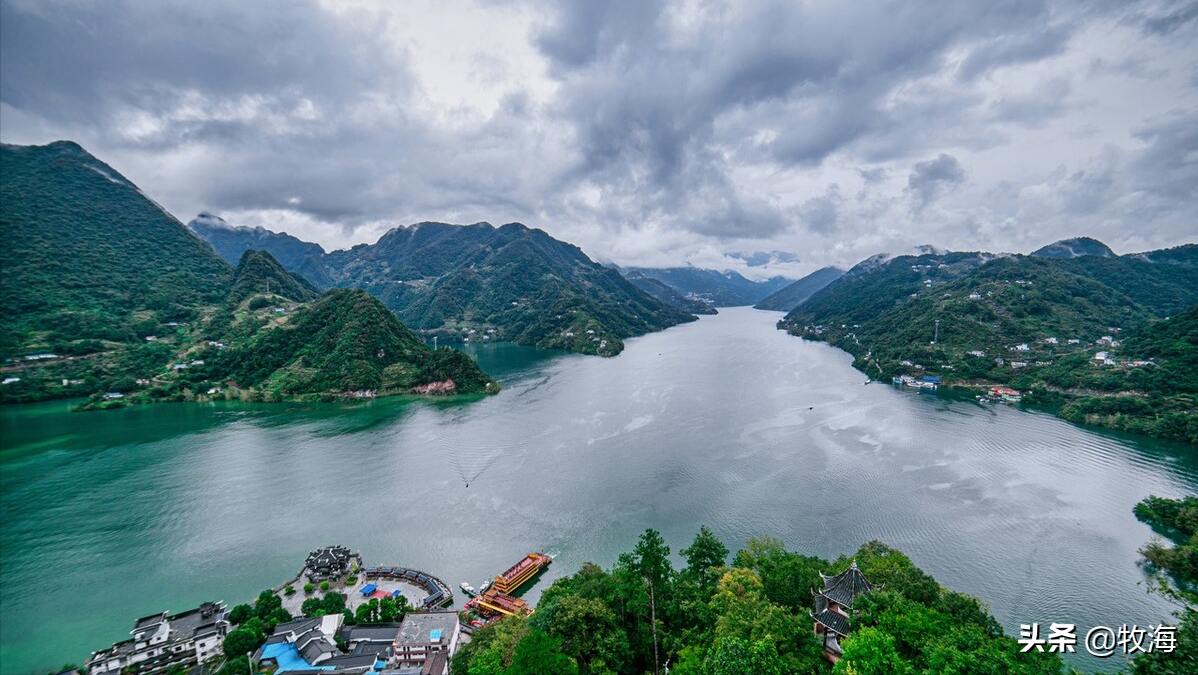 宜昌现银鲴鱼群引关注，淡水鱼种类图鉴大全带你认识更多本土鱼类生态。