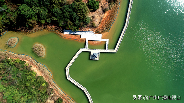 广州哪里可以看海，广州旅游看海的地方（广州这些“无敌海景”碧道藏不住了）
