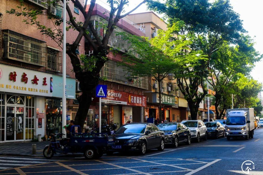 深圳北在哪个区(深圳西站在哪个区)