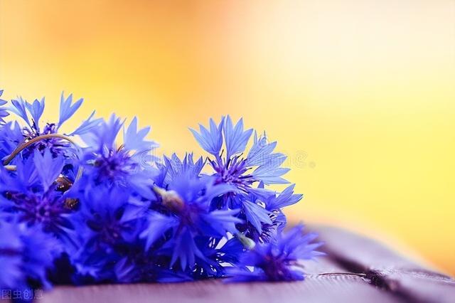 温暖思念牵挂祝福短信，温暖思念牵挂祝福短信怎么发（写给今生最想念的人）