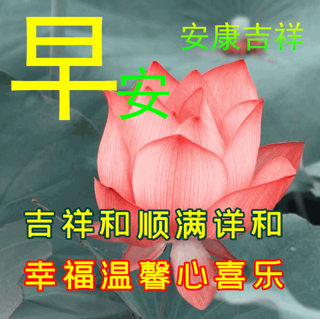 早安语录正能量短句，早安语录正能量短句100字大全（正能量简单语录句子）