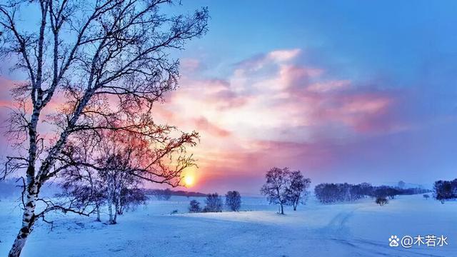 暖阳图片，冬日暖阳（《冬日暖阳》木若水/辽宁）