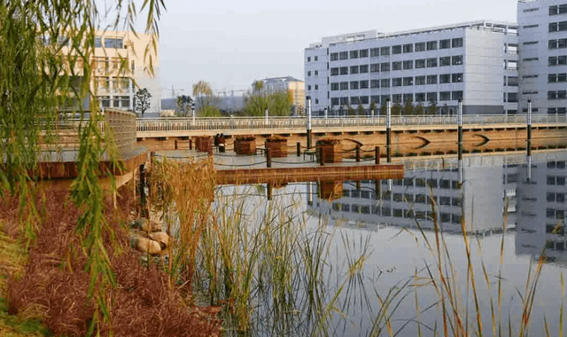 安徽财经大学是一本还是二本，安徽财经大学几本大学（安徽财经大学招生“遇冷”）