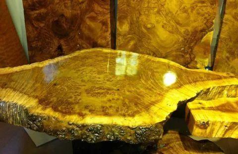 金丝楠木树苗适合哪些地方种植,金丝楠木树苗适合哪些地方种植小叶紫檀(树苗12元一株为何没人种植) 金丝楠木树苗适合哪些地方种植,金丝楠木树苗适合哪些地方种植小叶紫檀(树苗12元一株为何没人种植)