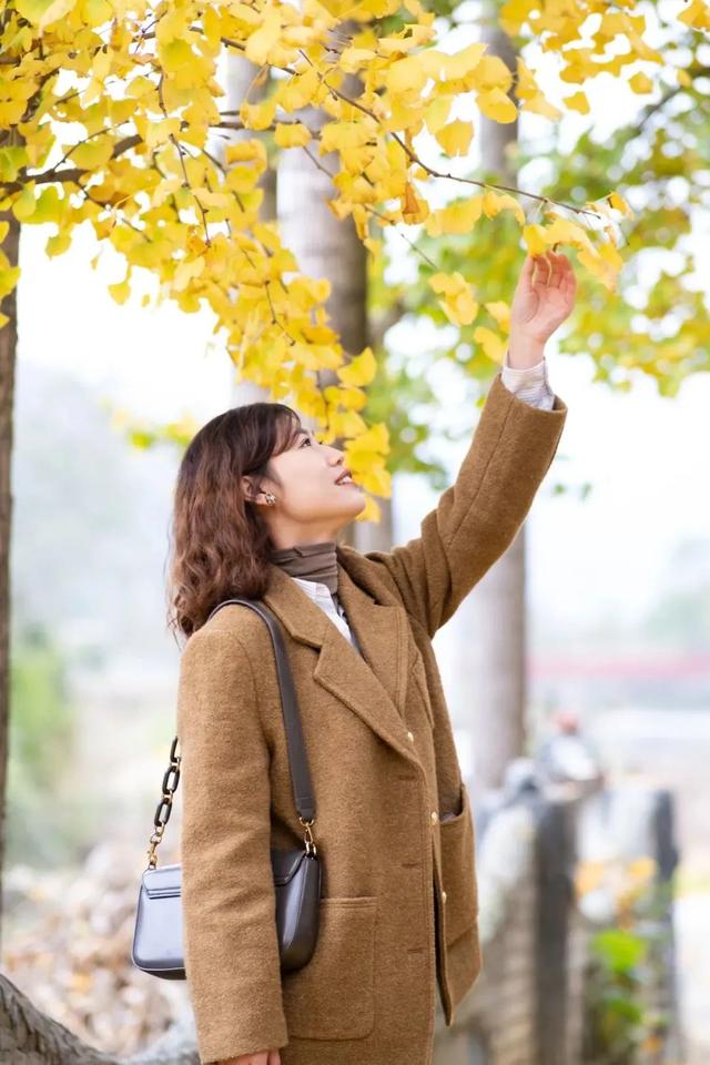 汉中旅游景点排名推荐，汉中旅游景点大全排名榜（在汉中一年四季可以这样玩 →）