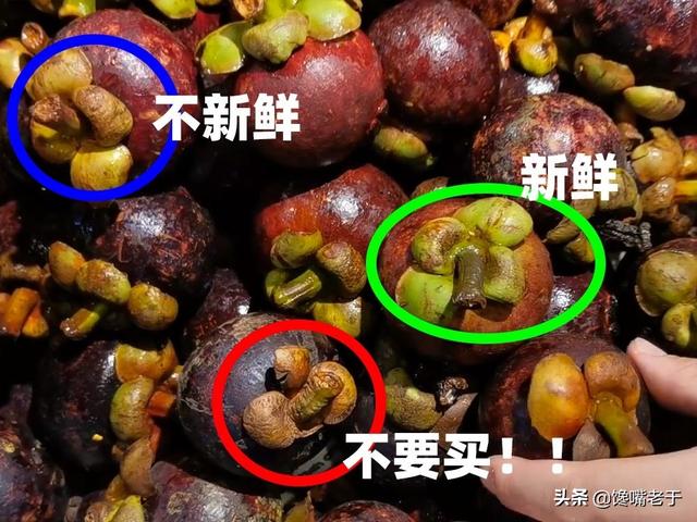 如何挑选山竹 山竹怎么选，如何挑选山竹（肉多无核一挑一个准）