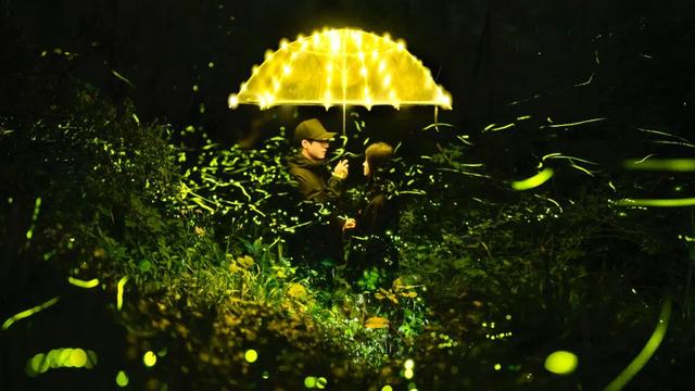 8kraw签约条件，8kraw签约需要准备什么（2022年Haida签约\u0026合作摄影师终选名单）