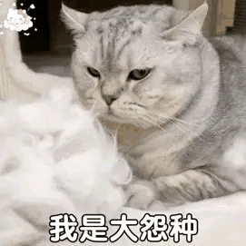 被pua是什么意思梗，被pua 是什么意思（2022年十大网络流梗详解）