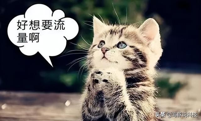 移动副卡多少钱一个月月租，移动副卡怎么收费标准移动无限流量（60GB流量+200分钟+19元/月）