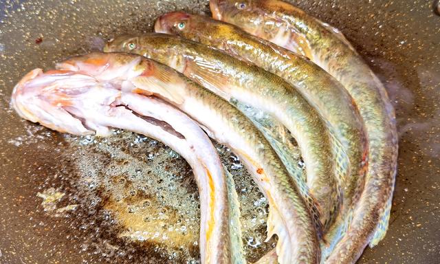 武昌鱼怎么做好吃，干烧武昌鱼的做法（炖豆腐吃特别香）