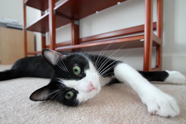 10公斤托运大概多少钱,飞机托运10公斤多少钱(过年多一手准备,多一分底气) 10公斤托运大概多少钱,飞机托运10公斤多少钱(过年多一手准备,多一分底气)