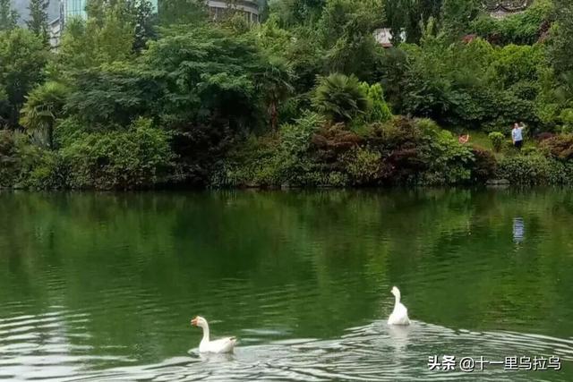 大理玩几天合适，大理游玩几天合适（云南大理-一个古朴的地方）