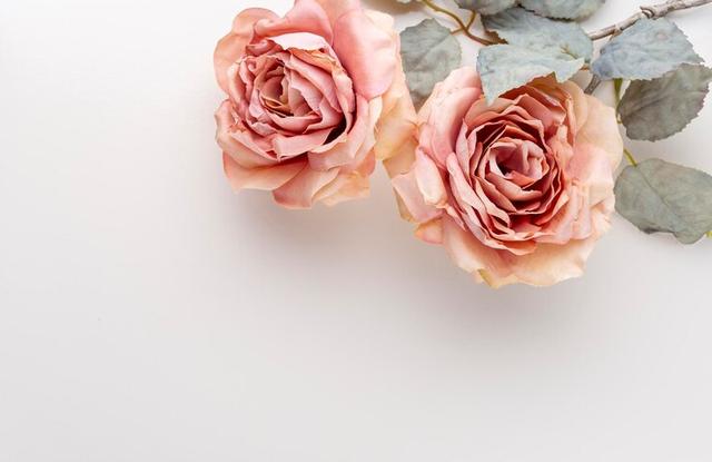 取悦自己是什么意思，的意思是什么（有一种聪明的生活方式）