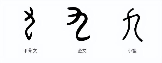 jiǔ【字形演变】【本义】——手肘人们在破解九字时产生了很多说法