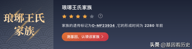 血统是什么意思，锤系血统是什么意思（中国人为什么从来都不讲血统）
