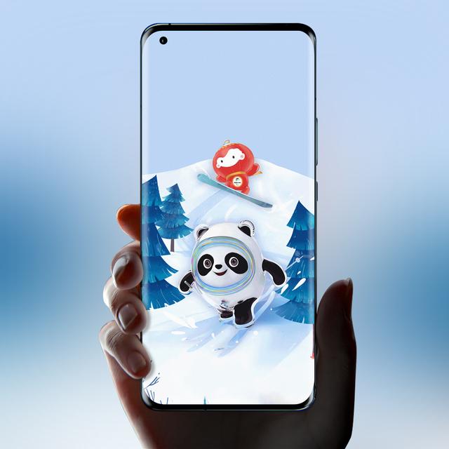 冰墩墩都有什么样的，冰墩墩高清壁纸（关于冰墩墩的介绍）