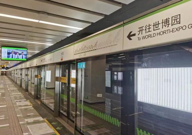 豹龟结石，昆明地铁5号线，首！发！见（肾结石会有啥症状）