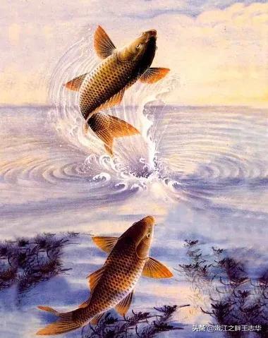 致中考学生的寄语，致孩子中考寄语（中考寄语 作者：王志荣）