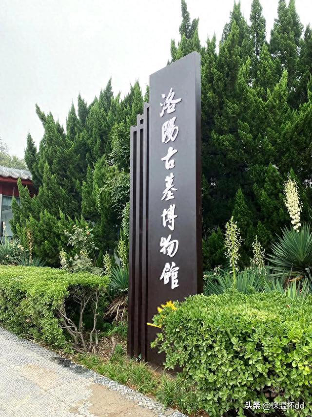 洛阳行 |||洛阳古墓博物馆攻略