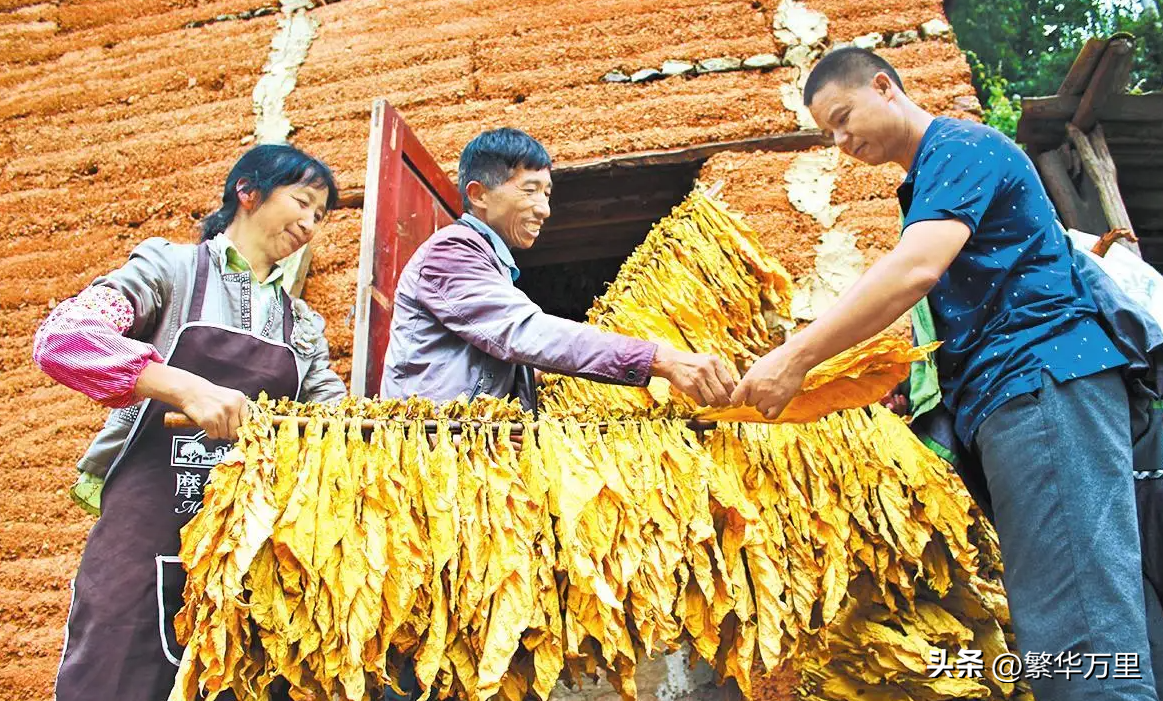 南阳有几个县(邓州现在和南阳的关系)