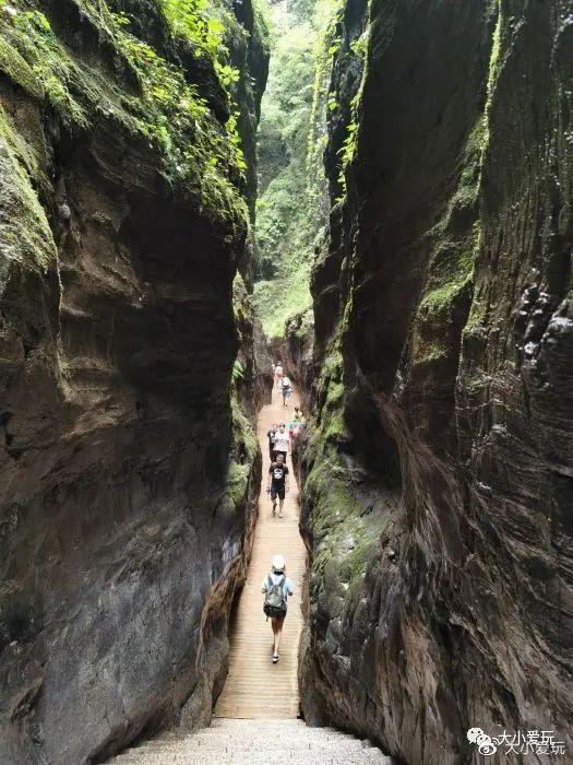 北京旅游观光巴士路线图，这些京郊景区坐公交能直达