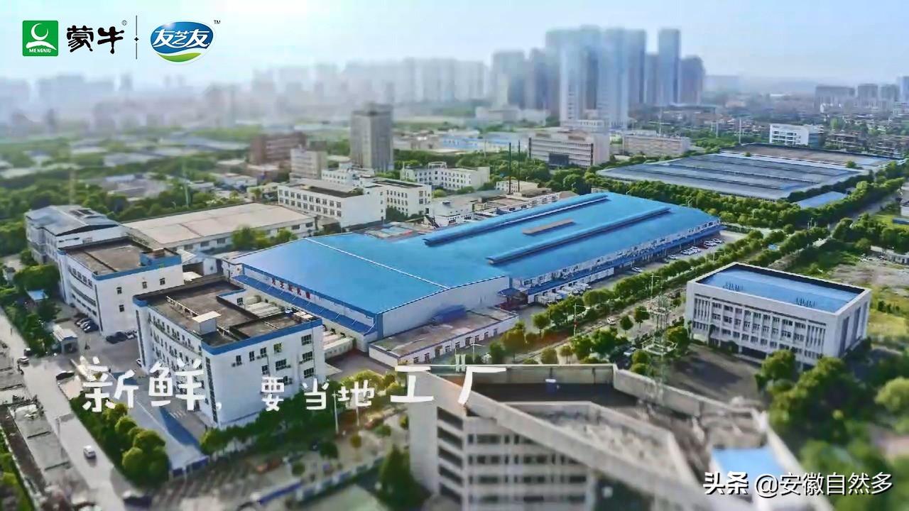 饮料店加盟代理（蒙牛友芝友牛奶加盟代理怎么样）