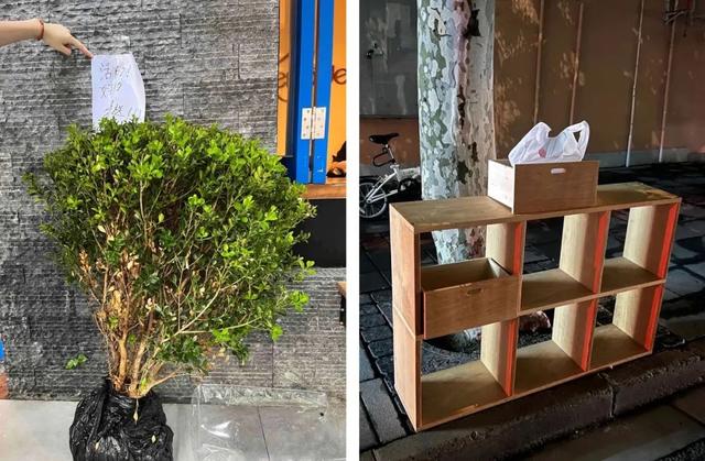 父母自由职业怎么填，父母自由职业怎么填_父母自由职业怎么填单位_父母自由职业怎么填职务（捡垃圾的95后：低物欲）