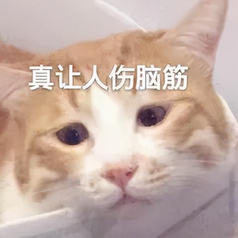 什么是辟谷辟谷的正确方法，徐峥通过“辟谷”成功减肥二十斤