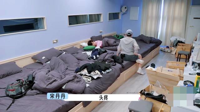 向往的生活宋丹丹，向往的生活宋丹丹是哪一期（宋丹丹向李雪琴、王传君道歉）