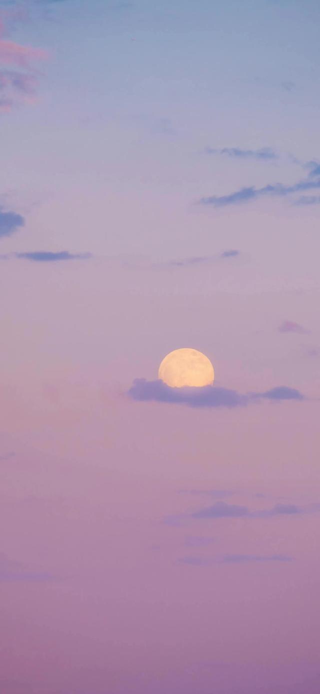 手机纸壁。，手机壁纸套装（精选高质量手机壁纸<388>图片）