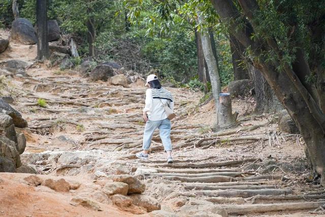 深圳徒步路线推荐，深圳海滨栈道徒步最佳路线（深圳10条徒步路线）