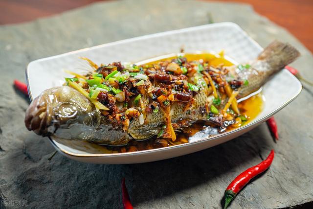 一什么鱼塘，一什么鱼塘量词（家乡的那一方鱼塘）