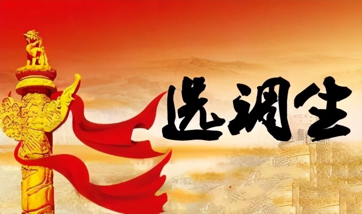 萝卜招聘（萝卜招聘）