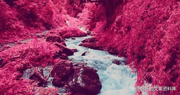 表达开心的句子，表达开心的短句子（活出快乐的自己的说说）