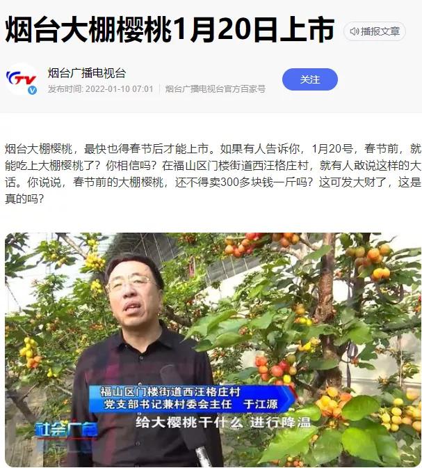 樱桃什么时候上市，汉源大樱桃上市时间（国产樱桃将于1月20日开始上市）