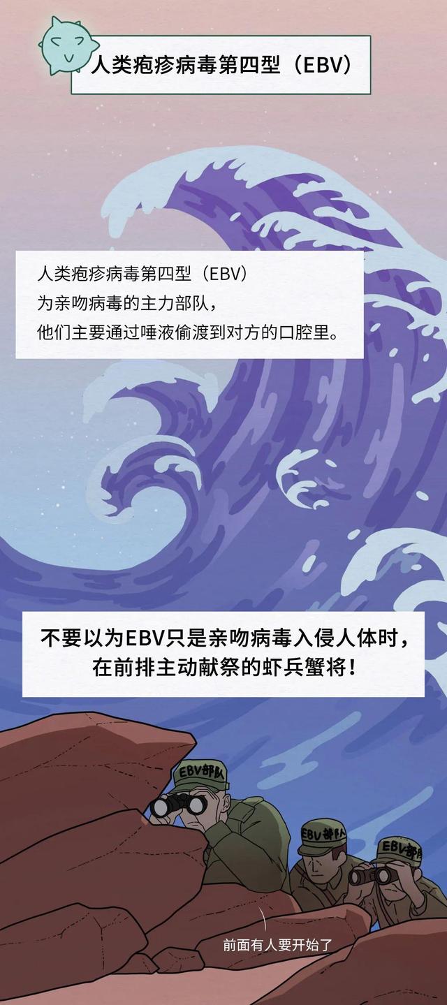 接吻的坏处是什么，人会交换8000万细菌