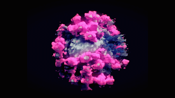 阿卜杜勒阿齐兹国王大学，2019-2020沙特大学排名（<壕>的两所大学都在沙特）