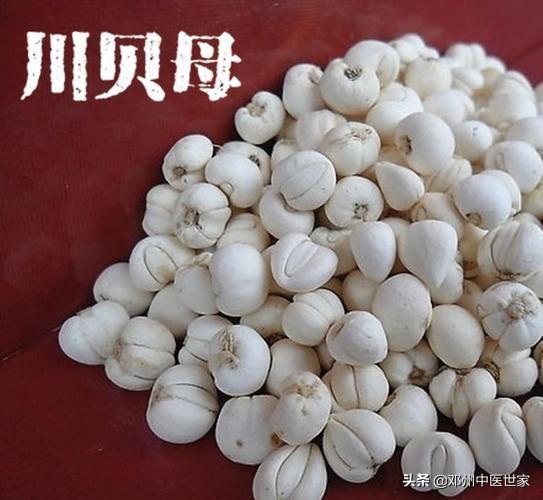 贝母是什么，贝母是什么味道（药性歌括四百味，贝母）