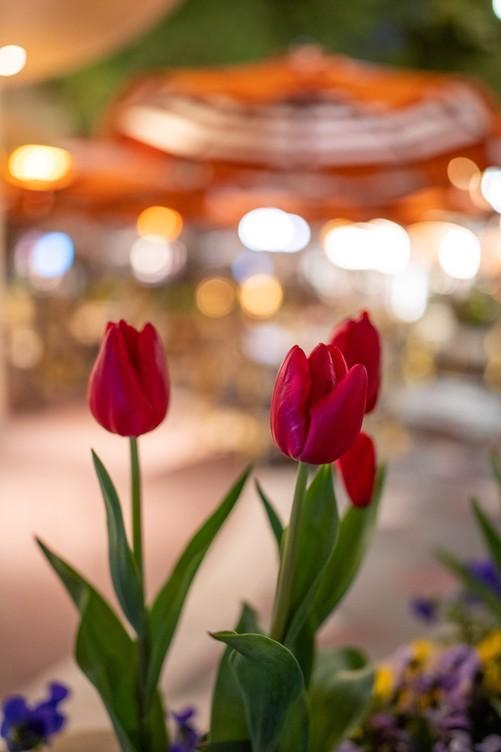 yn是什么牌子，1799元国产全画幅自动对焦镜头