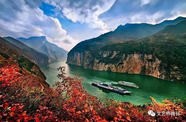 鬼圪针，鬼根针是什么？据说可以泡茶喝。有什么要求（郭进拴，黄河黄，长江长）