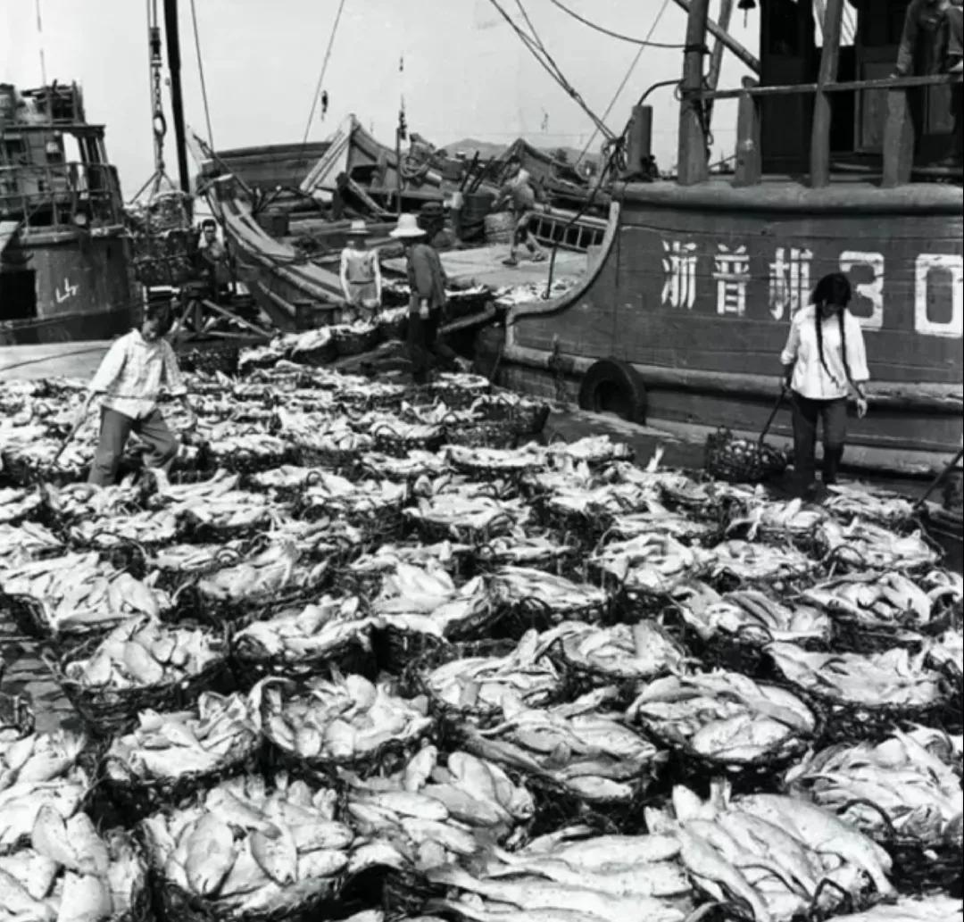 浙江舟山属于哪个市(舟山是几线城市?)