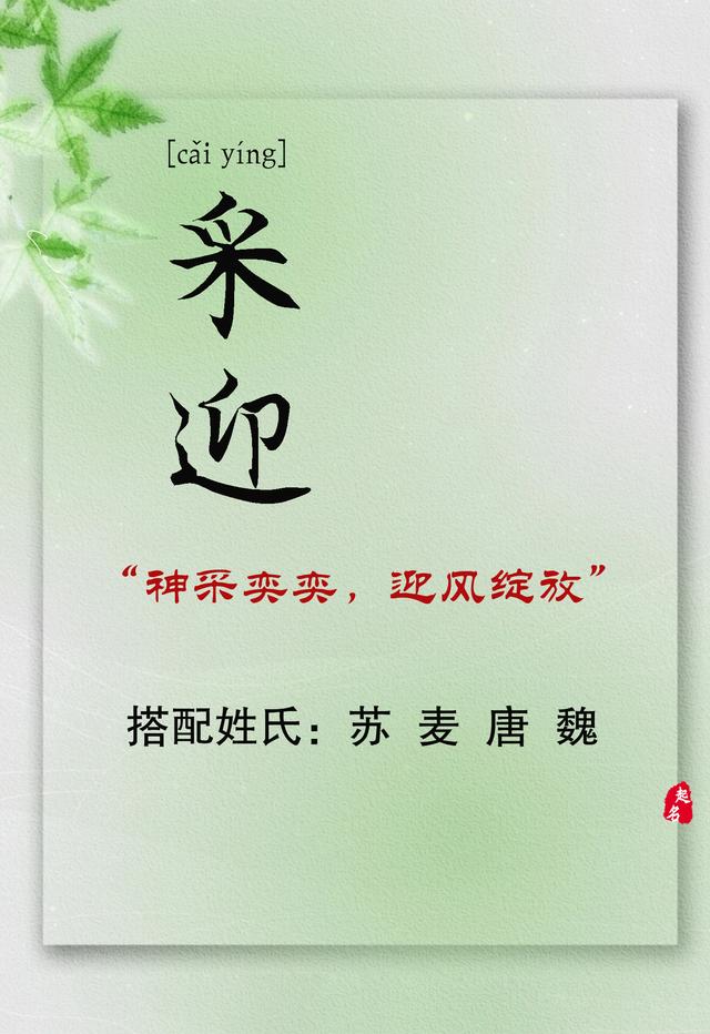 宝宝起名温文尔雅的女孩名字，宛如清风暖阳的女孩名