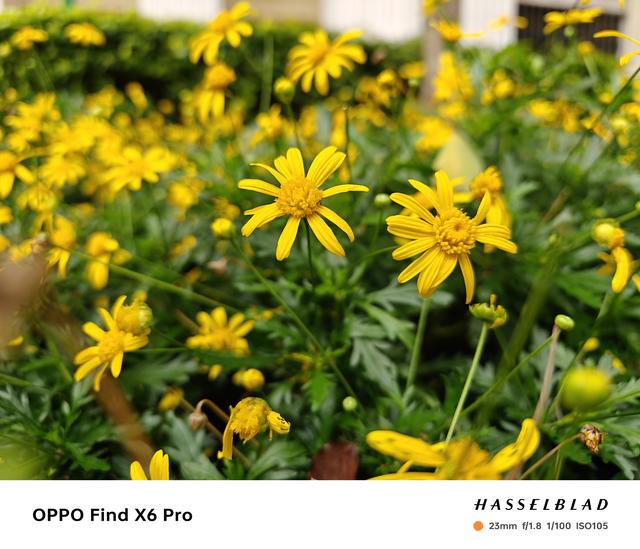 小米和vivo哪个好，小米和vivo手机优缺点对比（小米、OPPO、vivo三大拍照旗舰横评）