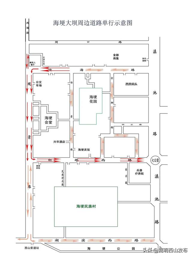 昆明海鸥最佳观赏地，去海埂大坝看海鸥前