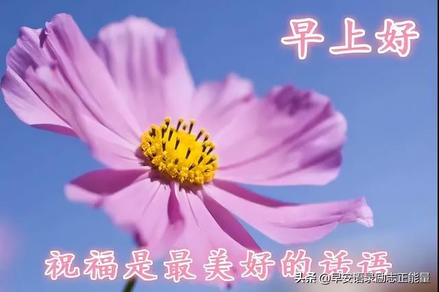 正能量早安鸡汤，正能量早安鸡汤文案（励志早安心语正能量）